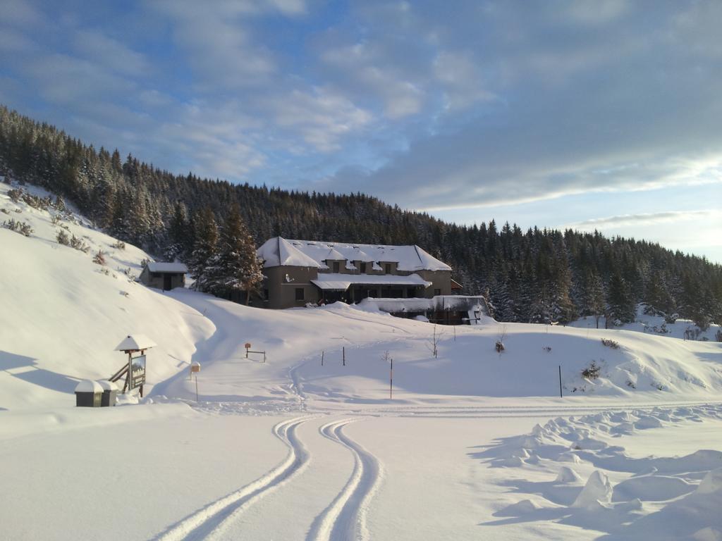 Gite Chalet Du Soulor Arrens-Marsous Exteriör bild