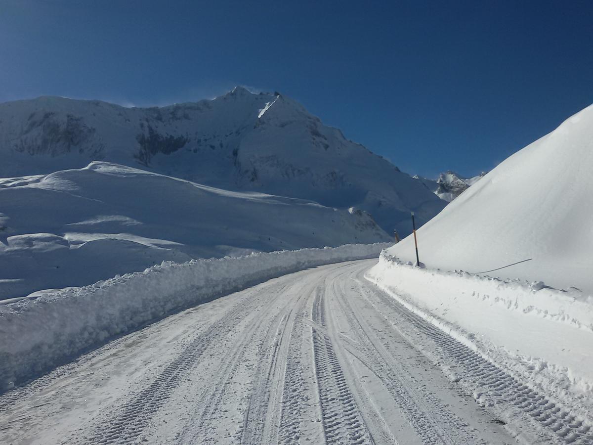 Gite Chalet Du Soulor Arrens-Marsous Exteriör bild