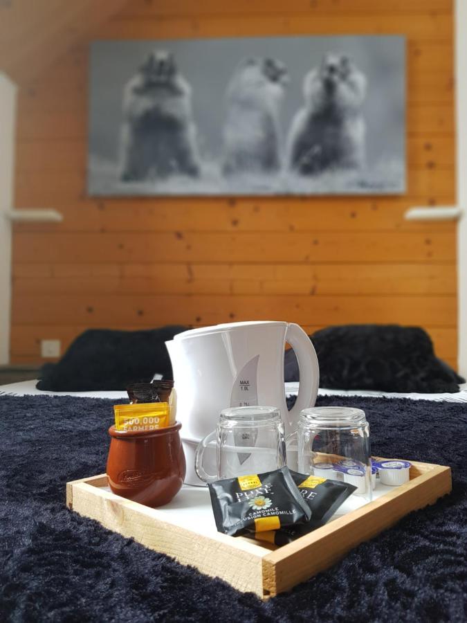 Gite Chalet Du Soulor Arrens-Marsous Exteriör bild